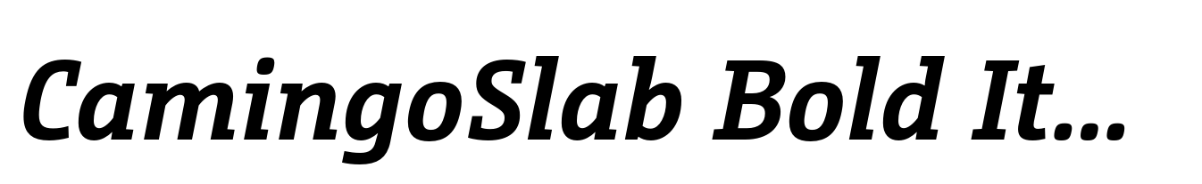 CamingoSlab Bold Italic